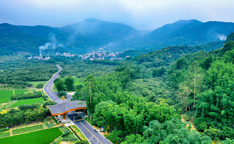 南平村.png